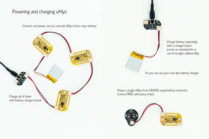 uMyo power and charge diagram, with uMyo PCBs connected to LiPo battery, charger PCB and CR2032 battery holder PCB.